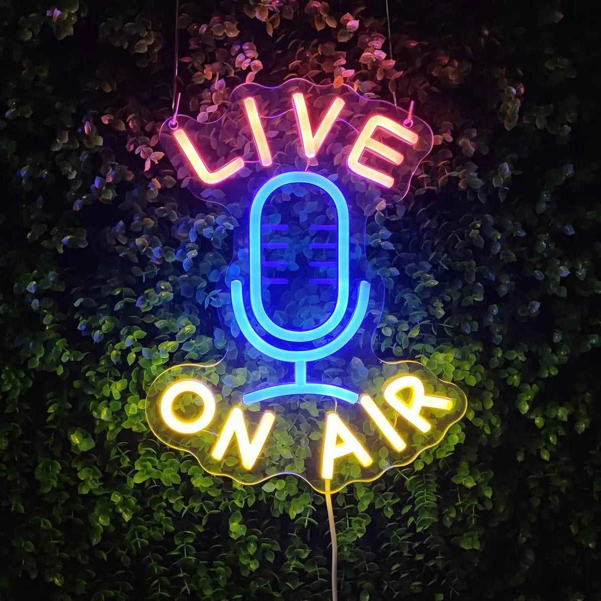 Live On Air LED Neon Sign